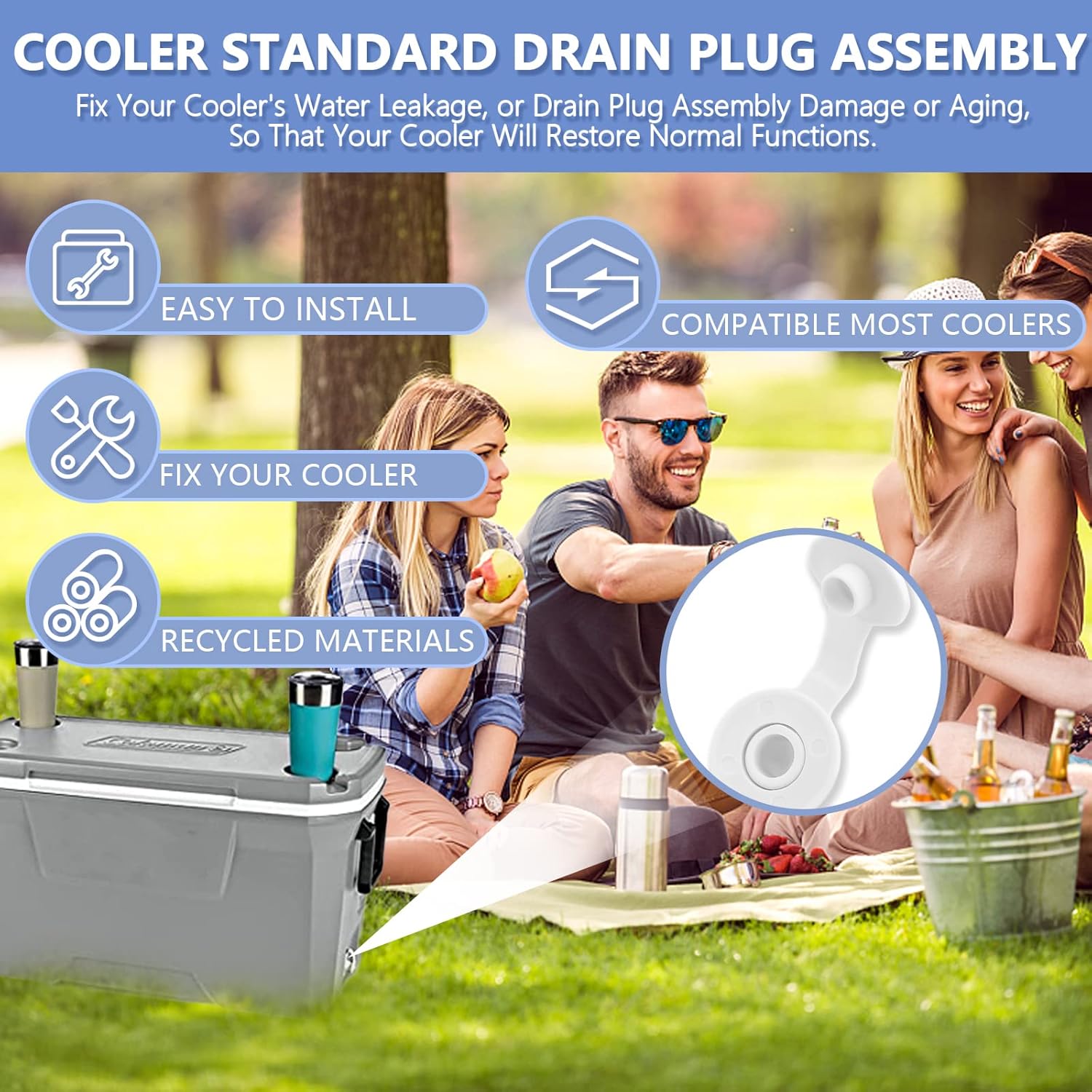 Cooler Drain Plug Replacement Kit